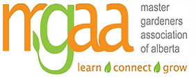 enlarged mg logo